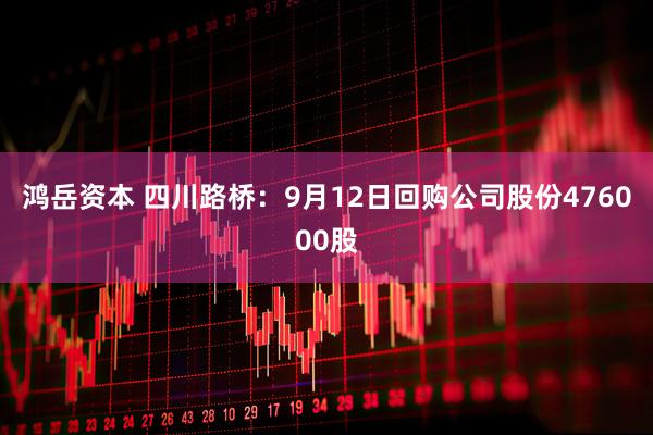 鸿岳资本 四川路桥：9月12日回购公司股份476000股