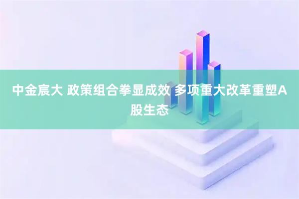 中金宸大 政策组合拳显成效 多项重大改革重塑A股生态