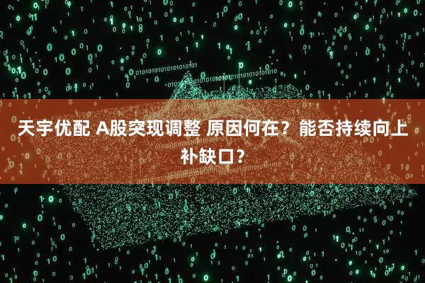 天宇优配 A股突现调整 原因何在？能否持续向上补缺口？