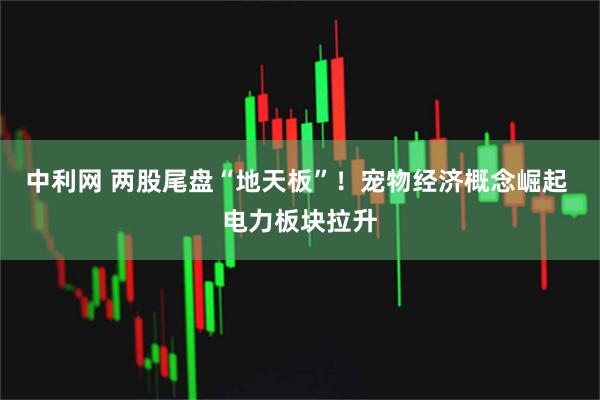 中利网 两股尾盘“地天板”！宠物经济概念崛起 电力板块拉升