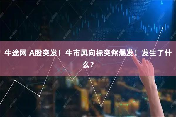牛途网 A股突发！牛市风向标突然爆发！发生了什么？