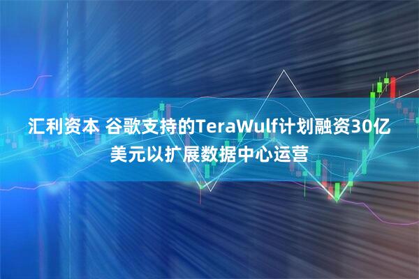 汇利资本 谷歌支持的TeraWulf计划融资30亿美元以扩展数据中心运营