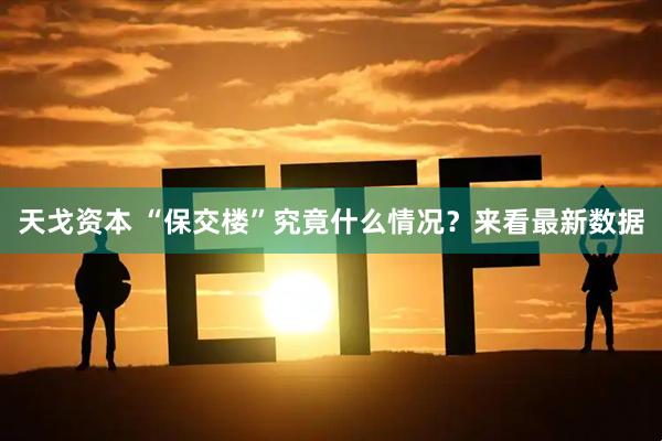 天戈资本 “保交楼”究竟什么情况?来看最新数据