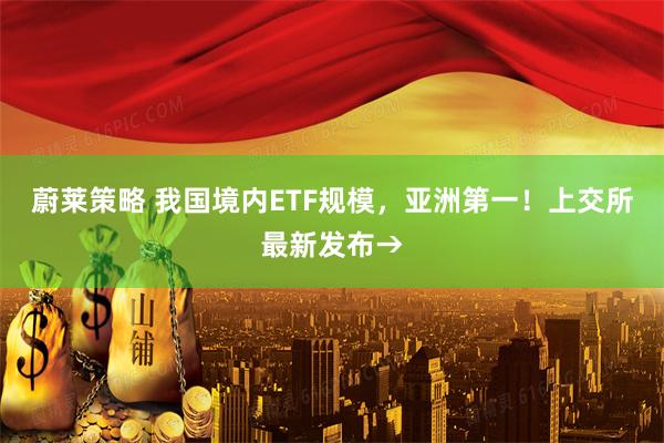 蔚莱策略 我国境内ETF规模，亚洲第一！上交所最新发布→