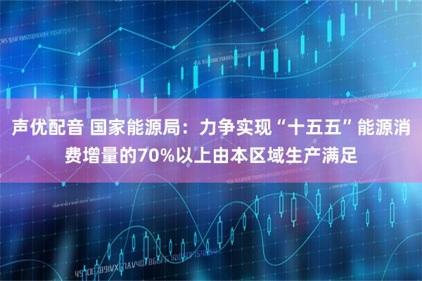 声优配音 国家能源局：力争实现“十五五”能源消费增量的70%以上由本区域生产满足