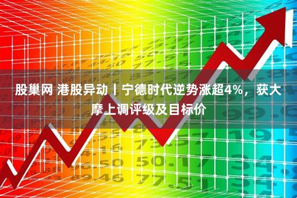 股巢网 港股异动丨宁德时代逆势涨超4%，获大摩上调评级及目标价